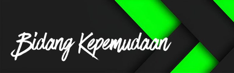 bidang kepemudaan